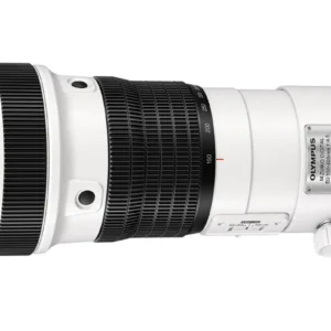 Olympus M.Zuiko 150-400mm f/4.5 TC1.25x IS Pro