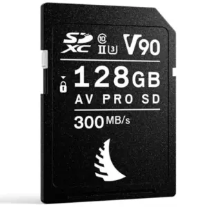 Scheda SD Angelbird v90 128GB
