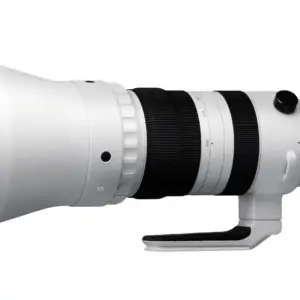 Sigma 300-600mm f/4 DG OS Sport