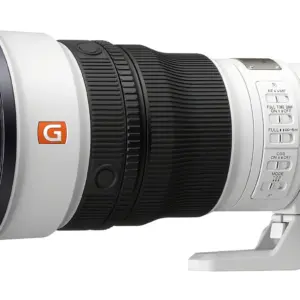 Sony FE 300mm f/2.8 GM OSS